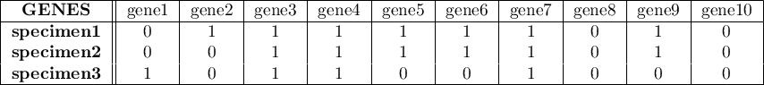 \begin{tabular}{|c||c|c|c|c|c|c|c|c|c|c|}
\hline
\textbf{GENES}&gene1&gene2&gene3&gene4&gene5&gene6&gene7&gene8&gene9&gene10\\\hline
\textbf{specimen1}&0&1&1&1&1&1&1&0&1&0\\
\textbf{specimen2}&0&0&1&1&1&1&1&0&1&0\\
\textbf{specimen3}&1&0&1&1&0&0&1&0&0&0\\\hline
\end{tabular}